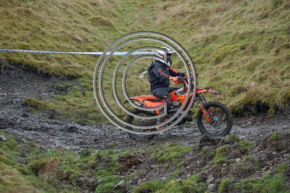 DSC_9831