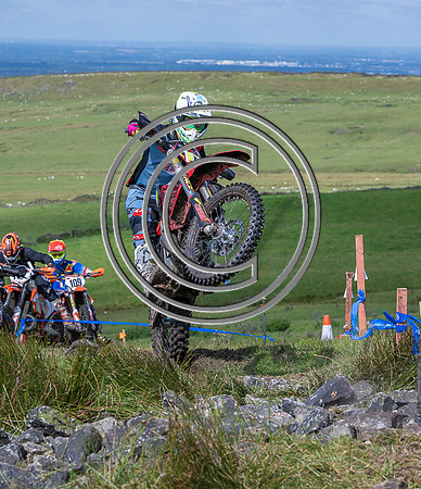 DSC_4911