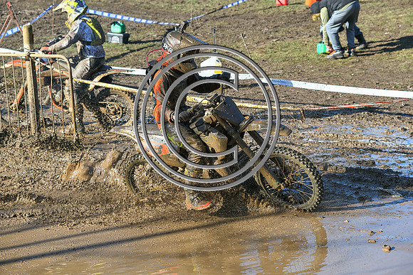 DSC_1828