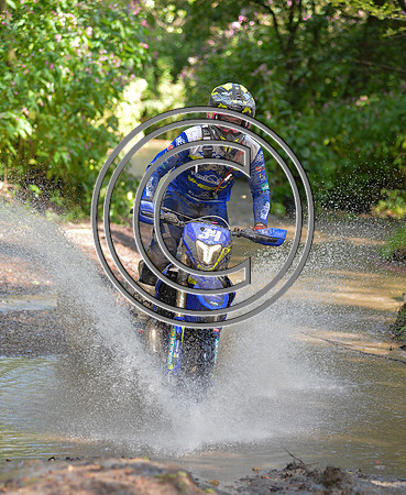 DSC_2481