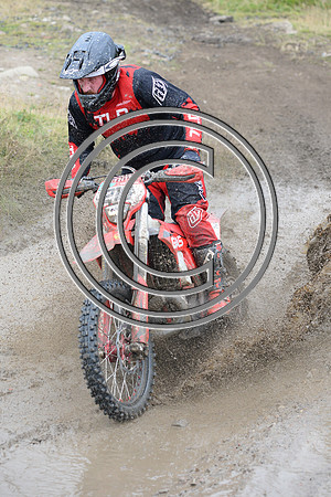 DSC_8277