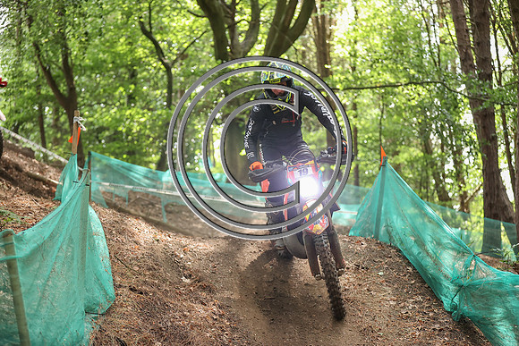 IMG_8651