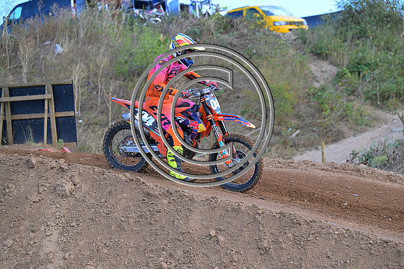 DSC_6565