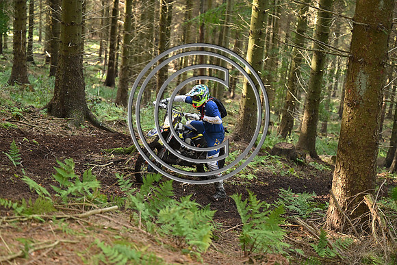 DSC_3627
