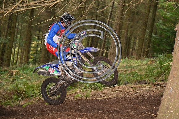 DSC_3706