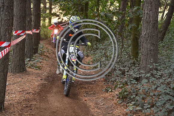 DSC_1397