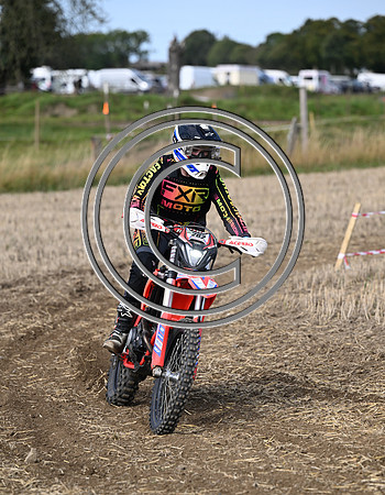 DSC_0336