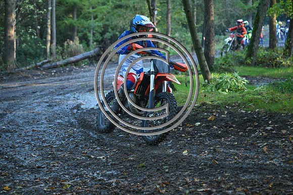 DSC_3939