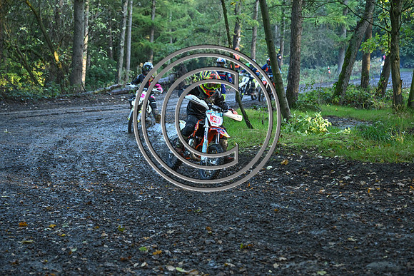 DSC_3953