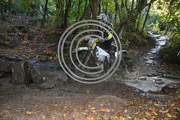 DSC_4212