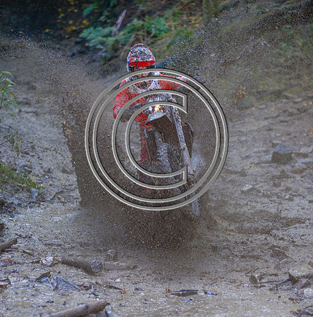 DSC_6684