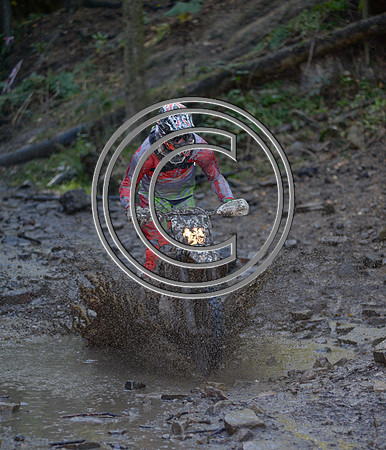 DSC_6687