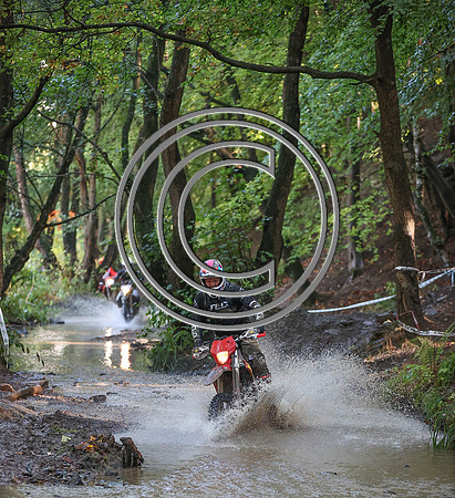 IMG_9502