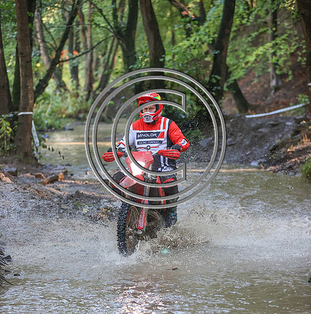 IMG_9510