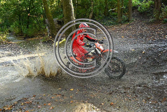 DSC_2710