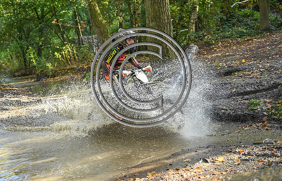 DSC_2769