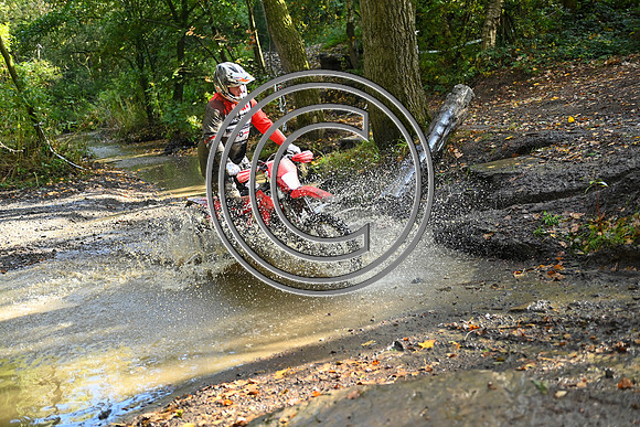 DSC_2781