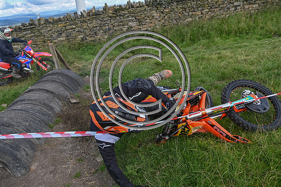 DSC_0517