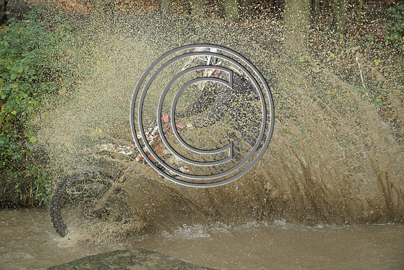 DSC_5973
