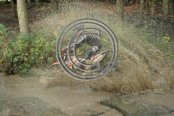 DSC_5981