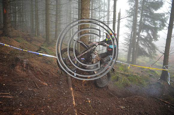 DSC_1909