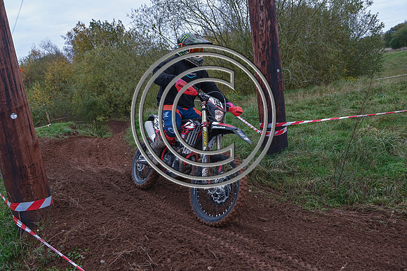 DSC_3010
