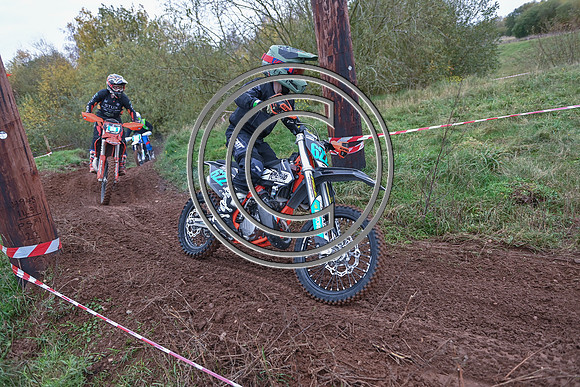 DSC_3011