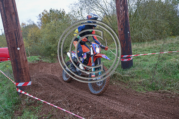 DSC_3019