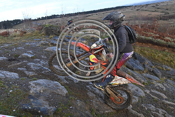 DSC_3701
