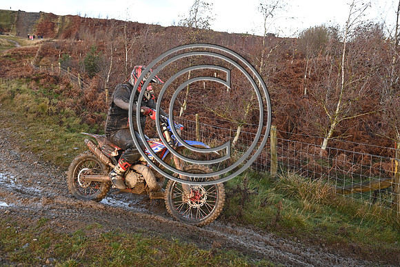 DSC_3800