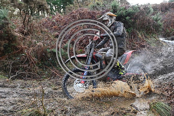 DSC_3855