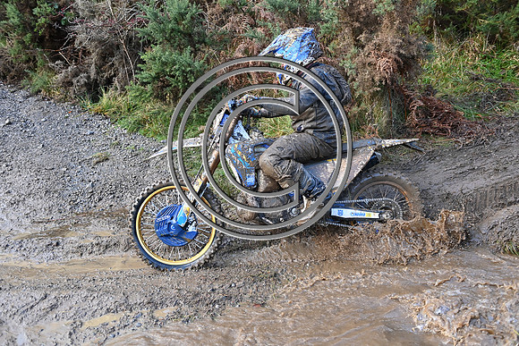 DSC_3885