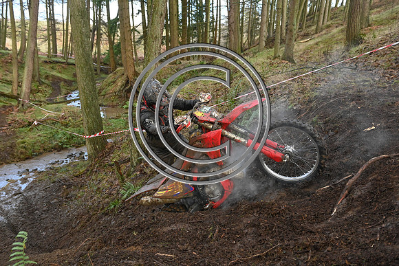 DSC_3927