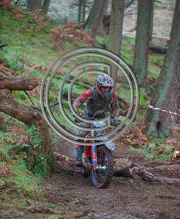 IMG_0445