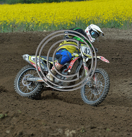 DSC_8422