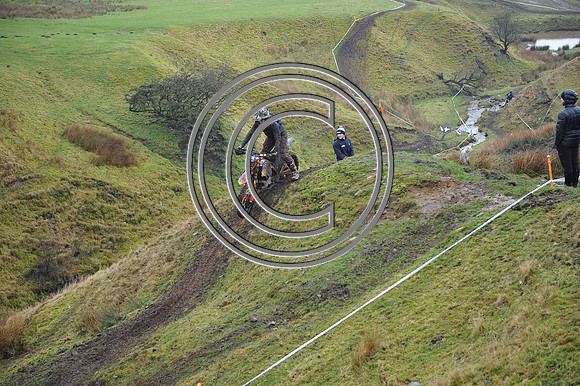 DSC_7364