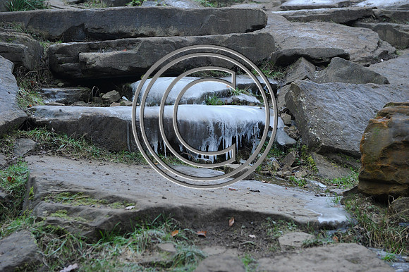 DSC_2682