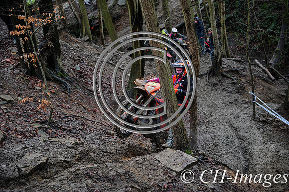 DSC_7823