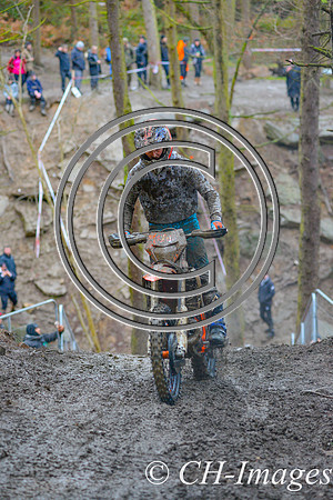 DSC_5224