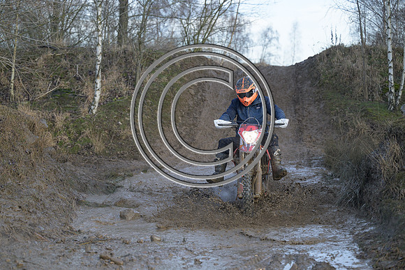 DSC_6347