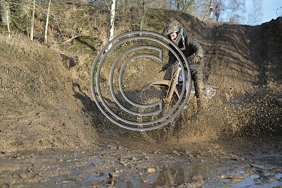 DSC_6446