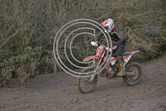 DSC_6534