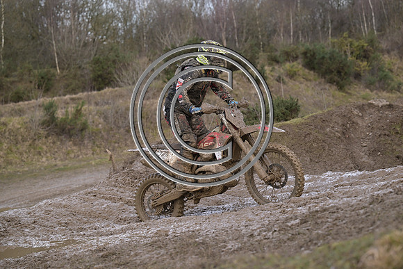 DSC_6648