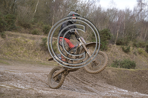 DSC_6681