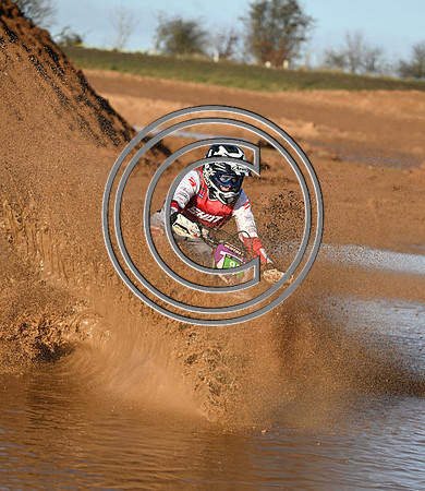 DSC_7343