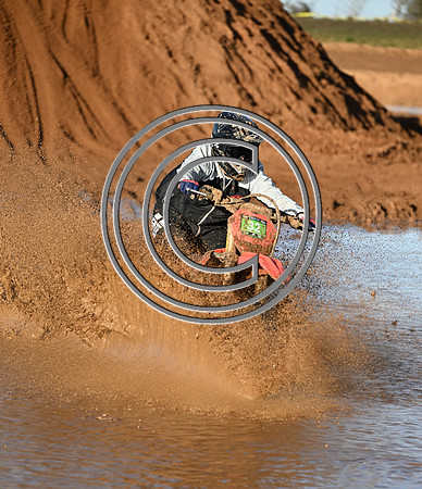 DSC_7351