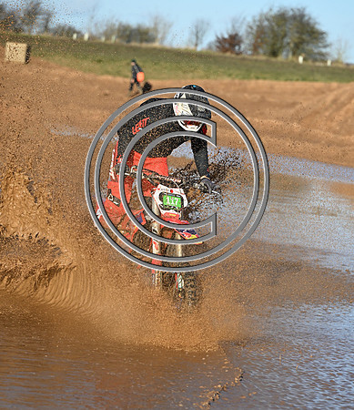 DSC_7379