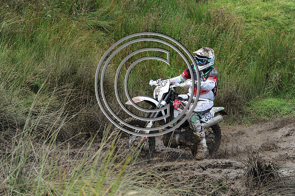 DSC_1816