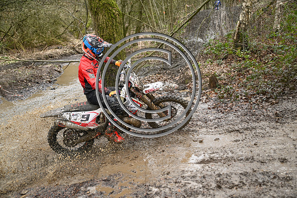 DSC_9175