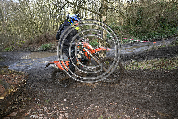 DSC_9347